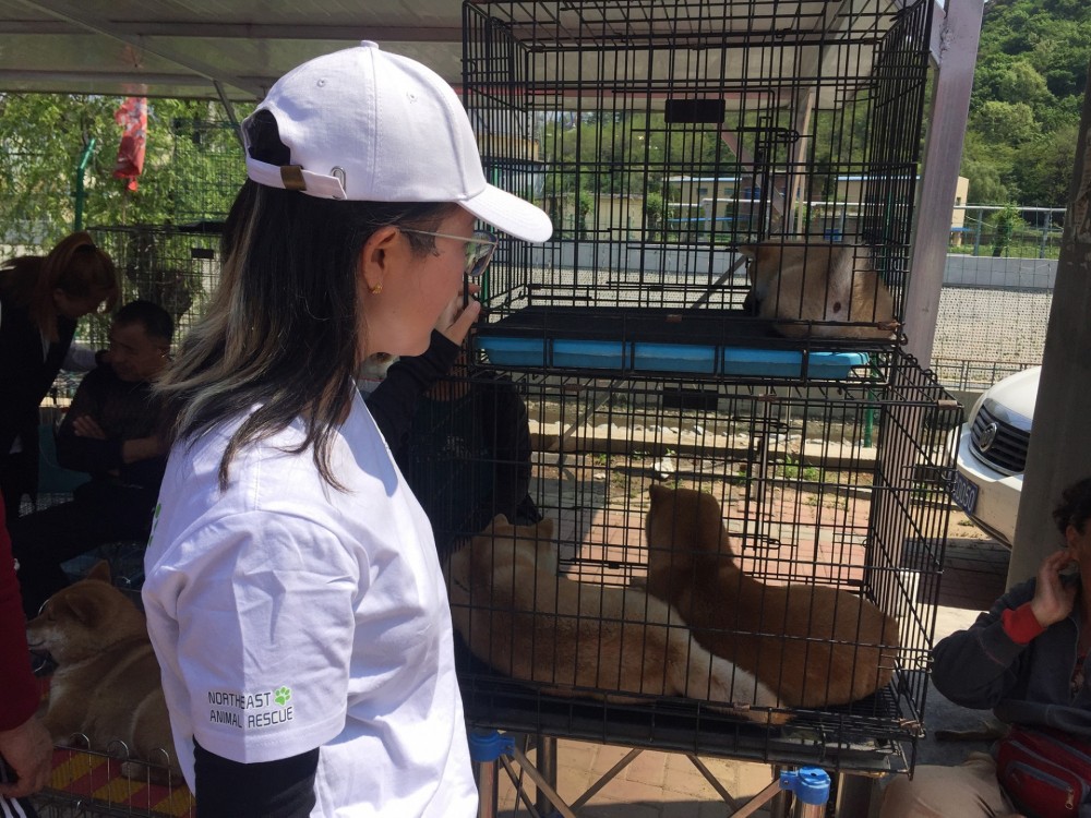 Volunteers conduct promotional activities in the pet market